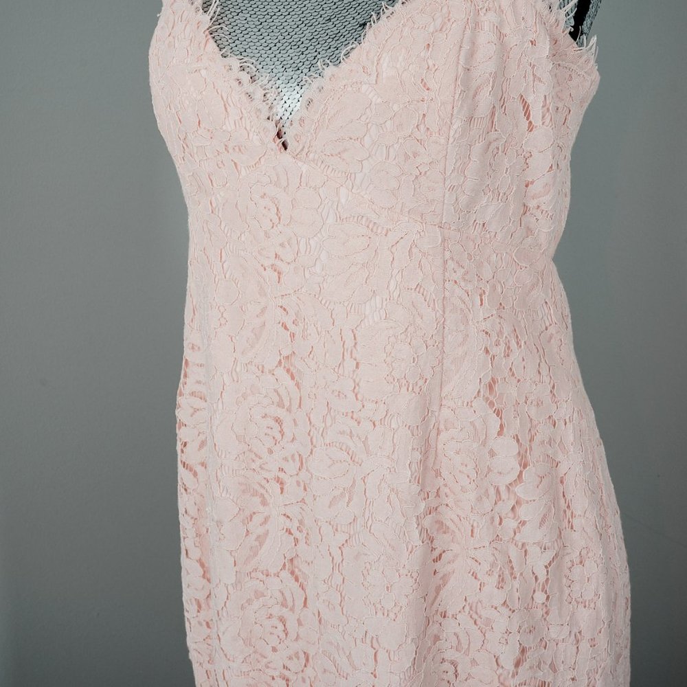 NWT Fame And Partners Pink Lace Mermaid gown - 10 - Picture 4 of 8